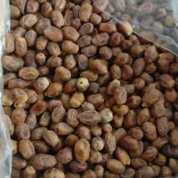 خرمای زاهدی ('قصب )|خوردنی و آشامیدنی|برازجان, |دیوار