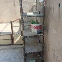 قفس پرنده قناری کفتر عروس هلندی  چهارتبقه