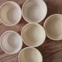 یک بار مصرف مخصوص رطب خوبن قیمت دوتومان|ظروف نگهدارنده، پلاستیکی، یک‌بارمصرف|بندر گناوه, |دیوار