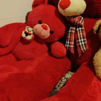 خرس کاملا سالم جنس خارجی استفاده نشده