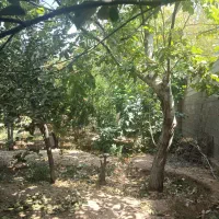 باغ-جاده-صدرا-300متر