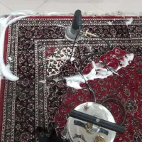 مبل شویی عابدین نژاد|خدمات نظافت|تالش, هشتپر|دیوار