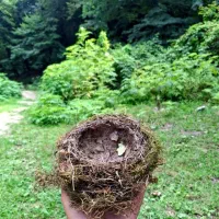 سهره معاوضه با ویپ پاد و ماد