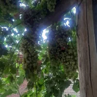 خانه ویلایی دوبلکس عجب شیر شیشوان|فروش خانه و ویلا|بناب, |دیوار