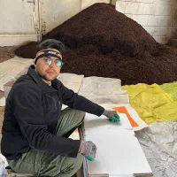 کشمش تاک|خوردنی و آشامیدنی|کاشمر, |دیوار