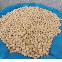 فروش یک تن نخود