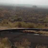 ۱۸۳۰۰ متر زمین زراعی با سند تک برگ عرصه و اعیان|فروش دفتر صنعتی، کشاورزی، تجاری|میاندوآب, |دیوار