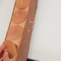 جا ادویه تنه درخت