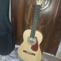 گیتار حرفه ای اورجینال