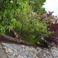 خواهان سرمایه گذار