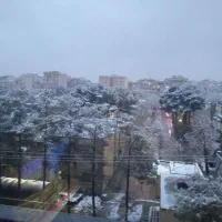 حراج-استسنایی-قرن-زمین-متری-20میلیون-بمتری5میلیو