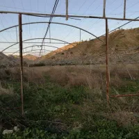 یک بار تریلی دارم لوله گلخانه