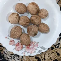 حراج گردوی ناب الشتر لرستان ...|خوردنی و آشامیدنی|قم, عمار یاسر|دیوار