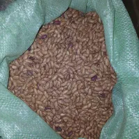 حبوبات ،کشمش پلویی، کره محلی (۳۰۰)