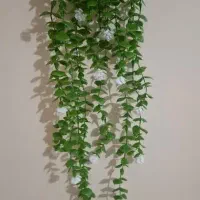 حراج شمشاد ساده و گل دار پرپشت کیفیت درجه یک