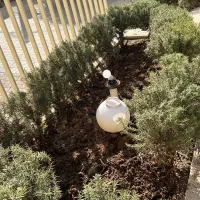 فروش مغازه در بازار سیگار
