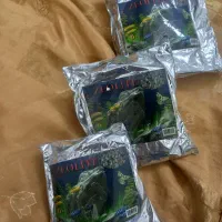 زئولیت ماهی