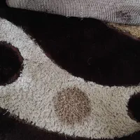 فرش فانتزی نو|فرش|نیشابور, شهرک پردیس|دیوار