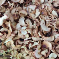برگه سیب|خوردنی و آشامیدنی|شیراز, شهرک والفجر|دیوار