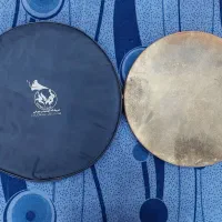 دایره پوستی