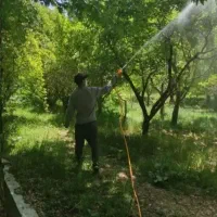 خدمات باغبانی تعویض‌خاک گلدان و باغچه