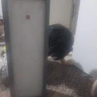 امپلی  وضبط