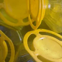 ظرف پلاستیکی|ظروف نگهدارنده، پلاستیکی، یک‌بارمصرف|بندر انزلی, میان پشته|دیوار