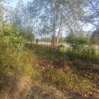 فروش زمین پروانه دارا