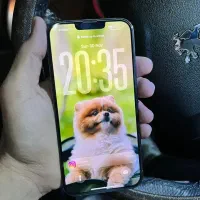 آیفون سیزده پرومکس سلامت صد در صد|موبایل|نیشابور, فردوس شمالی|دیوار