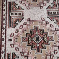 پادری طرح کلیم