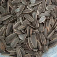 تو محلی آوو خوه کراوه