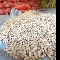 بادام زمینی غلافدار|خوردنی و آشامیدنی|دهگلان, |دیوار