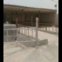 دامداری روستای دالستان ۱۰کیلومتری ساوه|فروش زمین و ملک کلنگی|ساوه, |دیوار