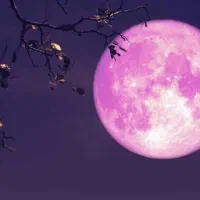 پیدا کردن دوتا کارت سوخت