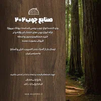 واردات چوب روسی
