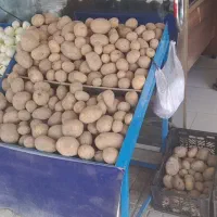 میز بساط میوه فروشی کامل|فروشگاه و مغازه|تربتحیدریه, پایانه مسافربری تربت حیدریه|دیوار