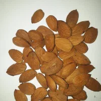 خرید وفروش بادام و مغز بادام|خوردنی و آشامیدنی|شیراز, گلستان|دیوار