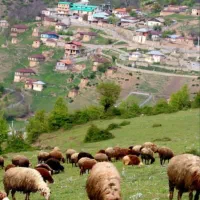 فروش زمین / روستای پالند|فروش زمین و ملک کلنگی|آلاشت, |دیوار