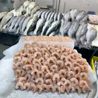 ماهی و میگونا خدا