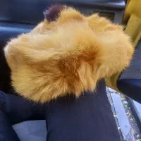 کلاه