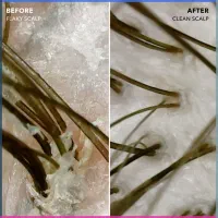 احیا و صافی با تخفیف یلدایی|خدمات آرایشگری و زیبایی|فردیس, فردیس|دیوار