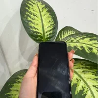 ایفون 11pro