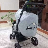 کالسکه و کریر اسپرت