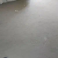 موکت|موکت|شیراز, محمودیه|دیوار