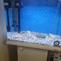 آکواریوم شیشه خم شرکتی دلسا