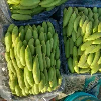 کالاه خرچا ترشی