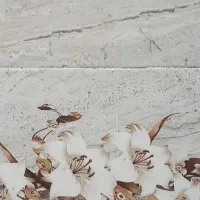 استا بنادرخدمت همه دوستان
