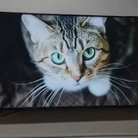 ال ای دی 65 اینچ 4Kاولترا hd