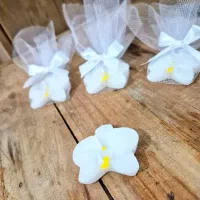 گیفت گل ارکیده