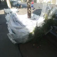 کاپوت گلگیر سپر  شرکتی پژو 405 206 پارس پراید|قطعات یدکی و لوازم جانبی|تهران, هرندی|دیوار